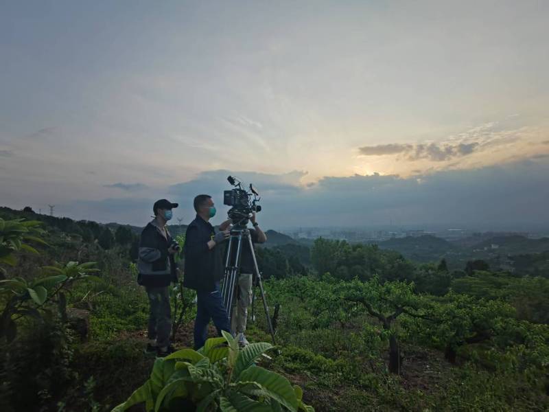 创意破圈！安陆市电商产品宣传视频用故事化叙事引爆流量