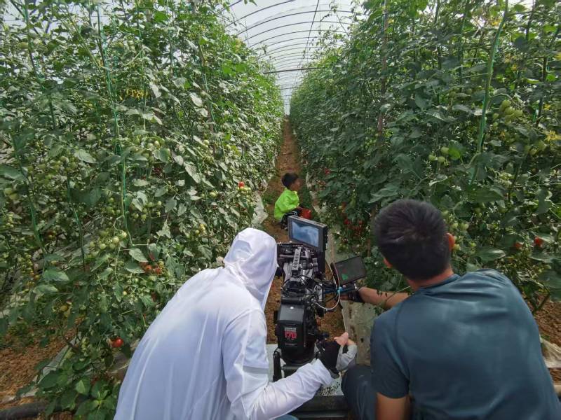 安陆市产品宣传视频拍摄公司进阶指南，助力品牌抢占传播高地